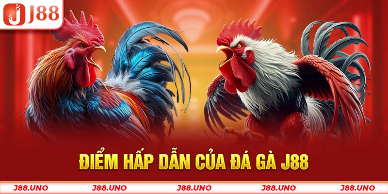 Điểm hấp dẫn của Đá Gà J88