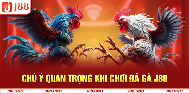 Chú ý quan trọng khi chơi Đá Gà J88
